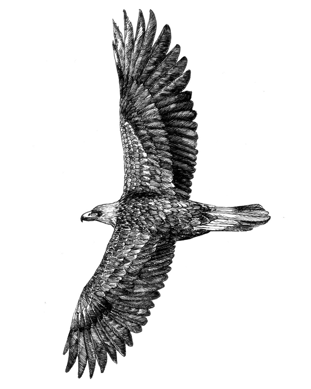 nanamica-fffes-art-installation-landscape-by-m2n