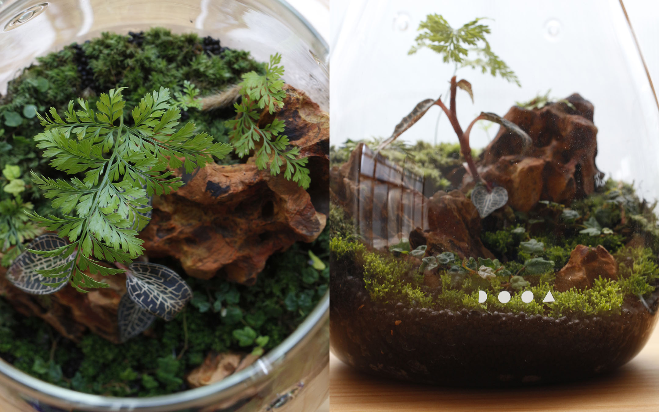 nanamica / nanamica MOUNTAIN new souvenir collection / ADA LAB POP UP