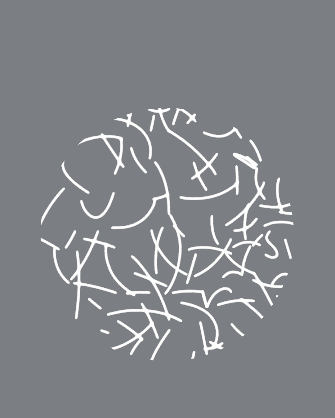 その他 samesennpai nanamica / THE NORTH FACE Purple Label / 2026SS Catalog