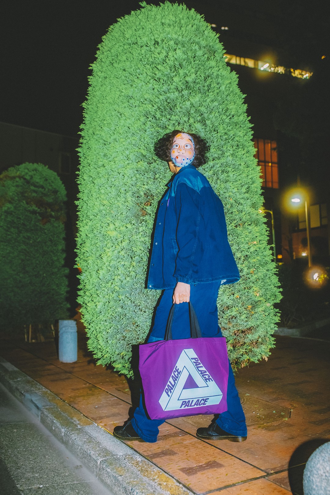 PALACE TNF PURPLE LABEL Wind Pants