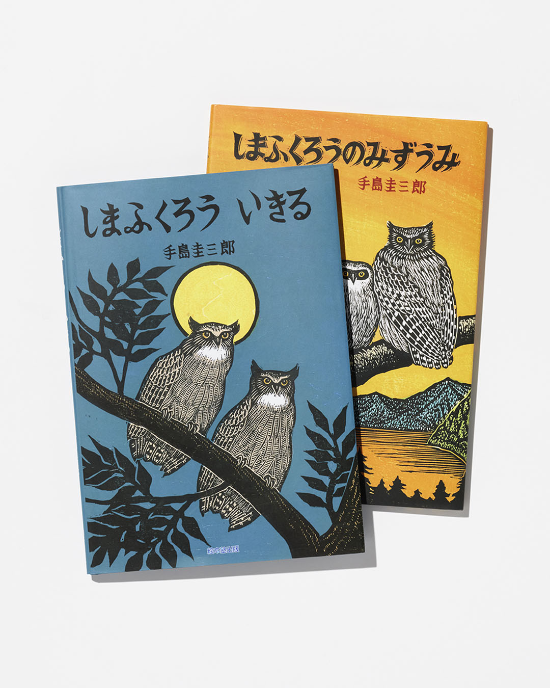しまふくろうのみずうみ ビックブック しまふくろうのみずうみ | 手島 圭三郎 | 全ページ読める | 絵本