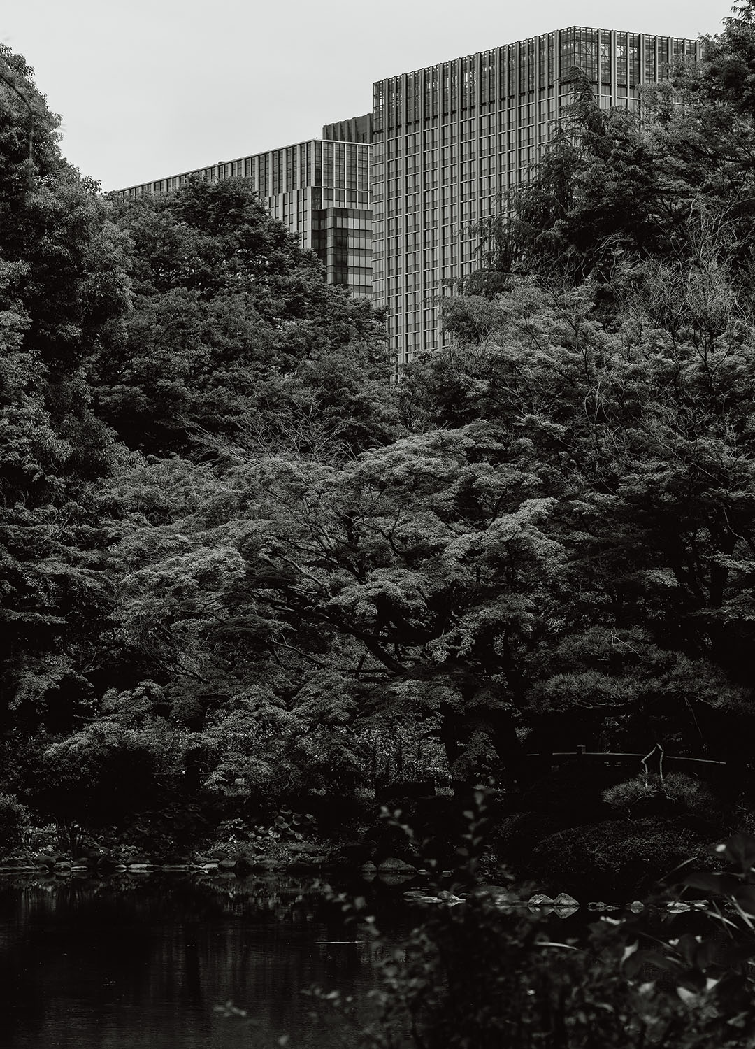 定価40万 美品 最上級パープルレーベル nanamica / Nanamica launches the 3rd upcycling project of