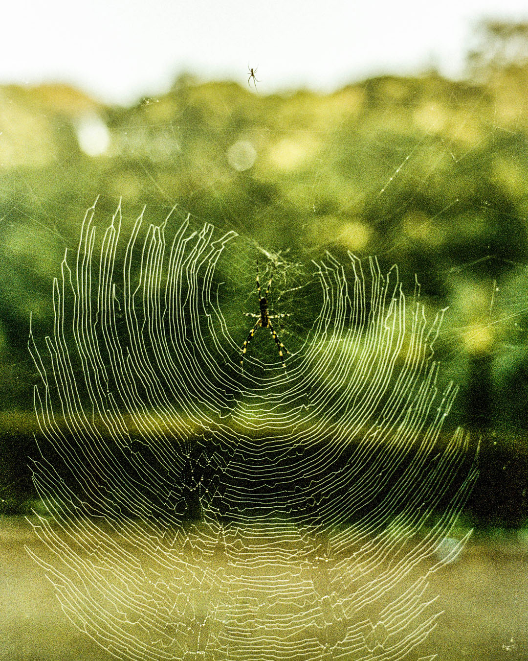 自然写真家 ハンヌハウタラ 写真集 Nature in the Kalevala 自然写真家 ハンヌハウタラ 写真集 Nature in the Kalevala