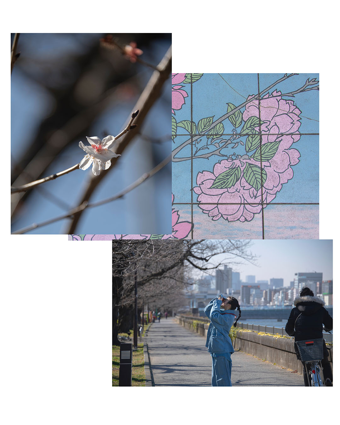 nanamica / ASPHALT & GREEN RECORD Vol.2 「春の日曜、デニムの