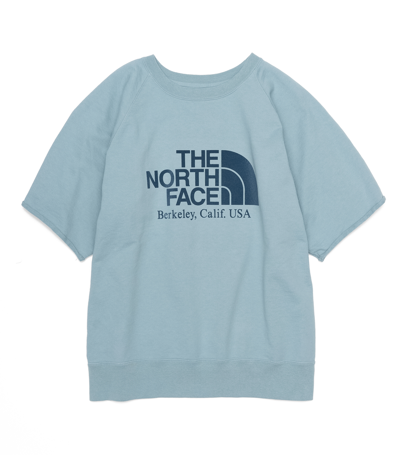 the north face blue label